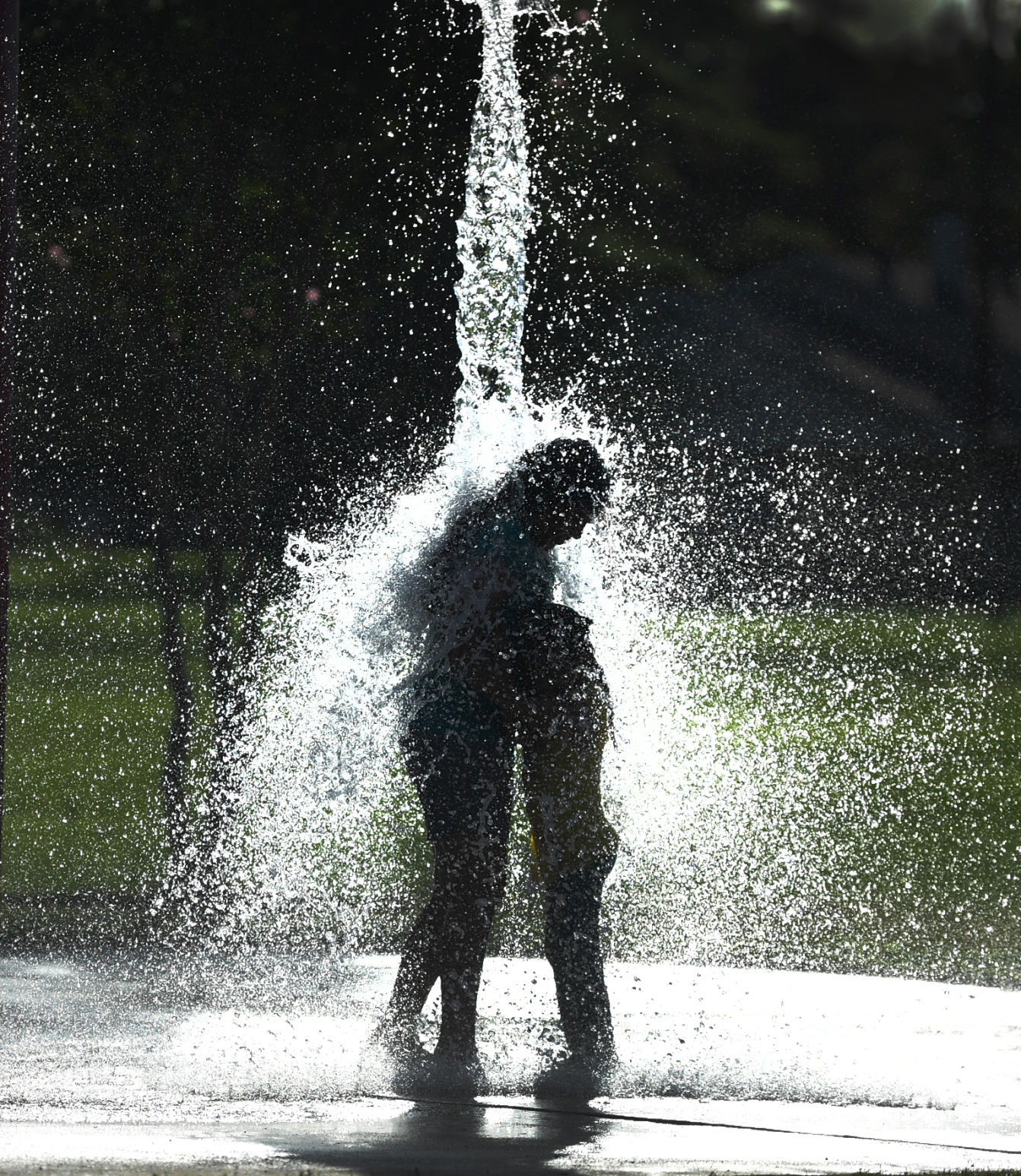 Splash